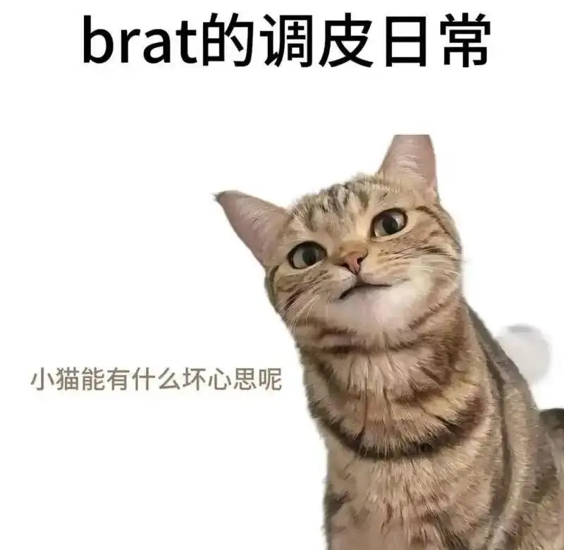 “BDSM入圈”后，你会发现自己真正渴望的是什么吗？ 一