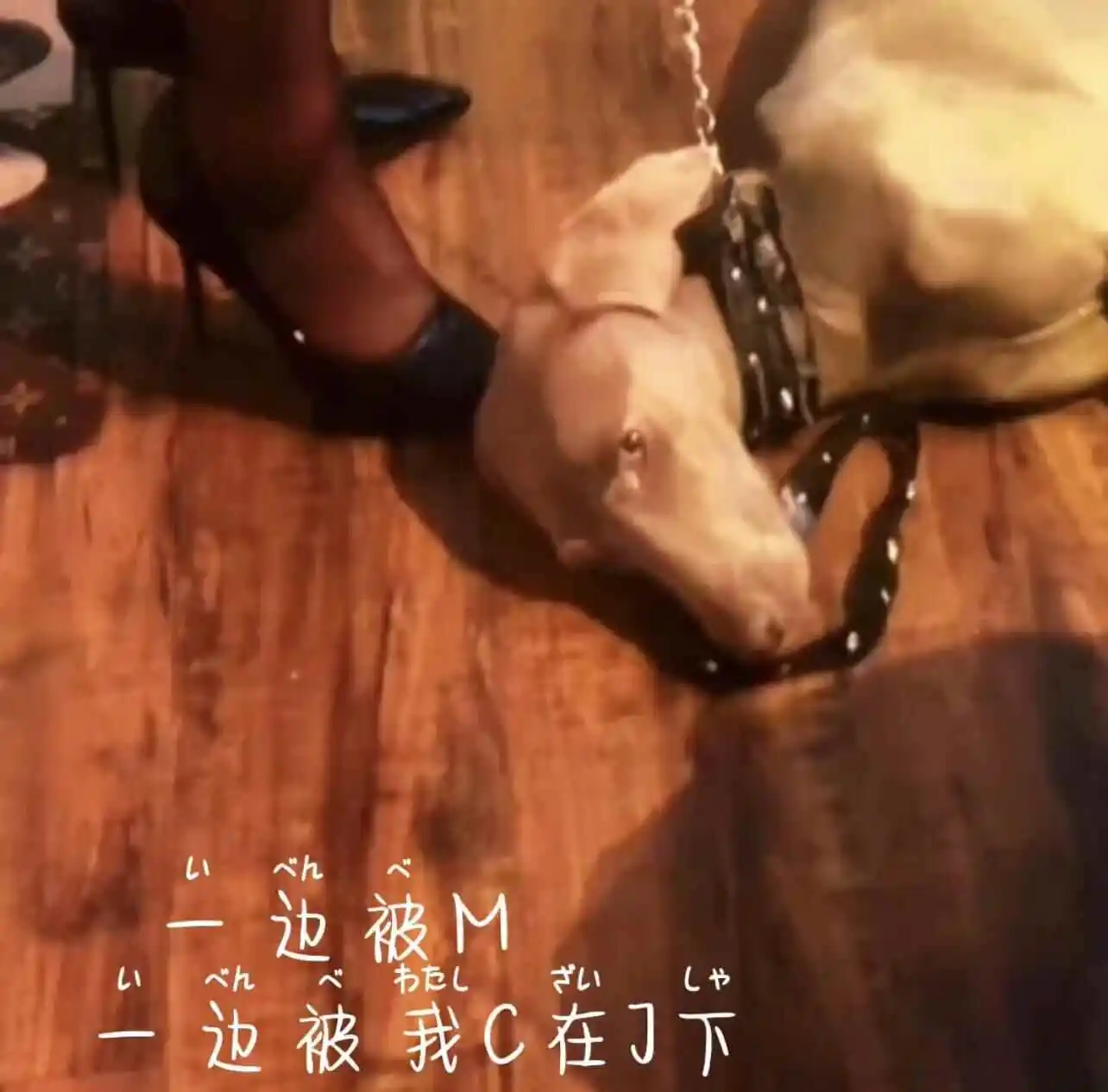 字母圈中的aftercare是什么?如何才能做到最好? 一