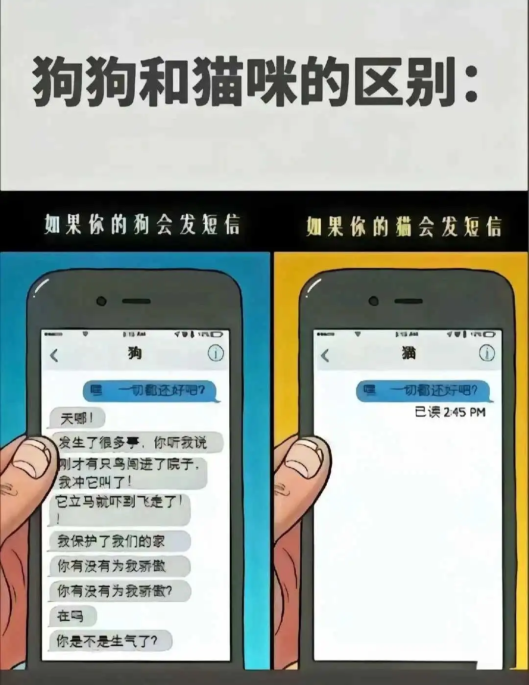 探索BDSM的秘密：你需要知道的圈内潜规则与安全指南 一