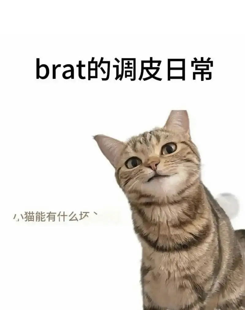 “BDSM新手必看：2025年入圈指南与注意事项” 一