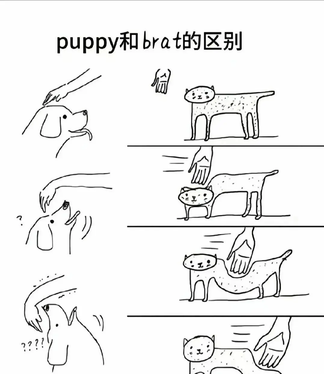 我发现自己有s属性，原来欲望也能如此复杂 一