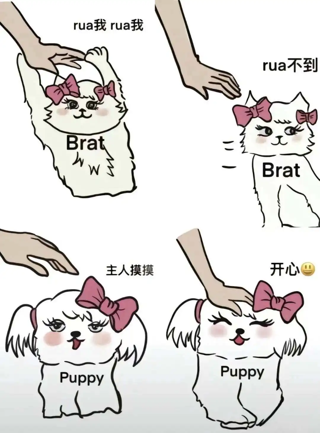 如何在S属性中找到真正的自我与连接？ 一